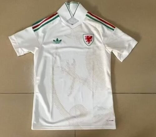 Pays Galles Maillot Domicile 25/26